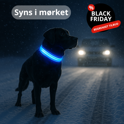 Lysende hundehalsbånd