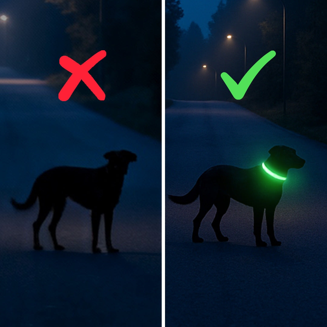 Lysende hundehalsbånd – trygghet på hver tur