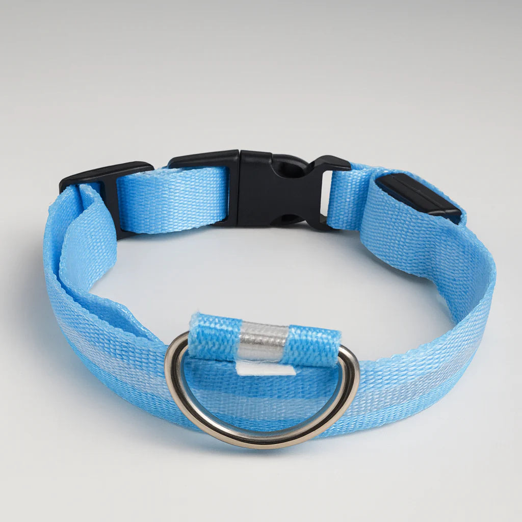 Lysende hundehalsbånd