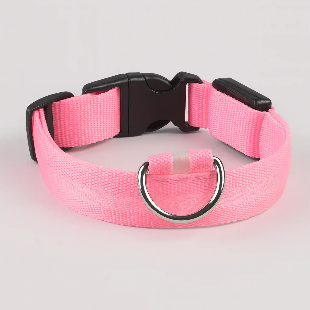 Lysende hundehalsbånd