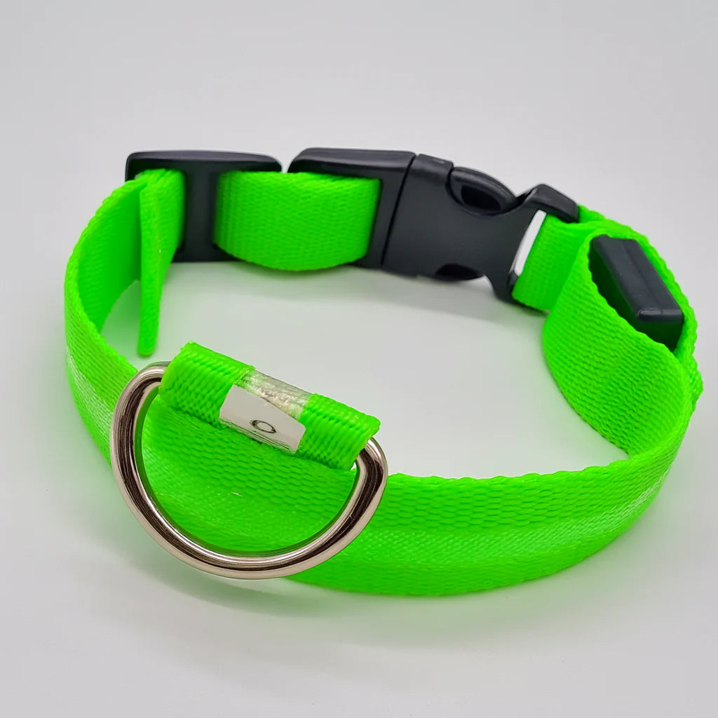 Lysende hundehalsbånd