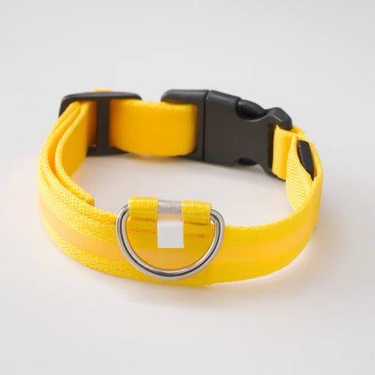 Lysende hundehalsbånd