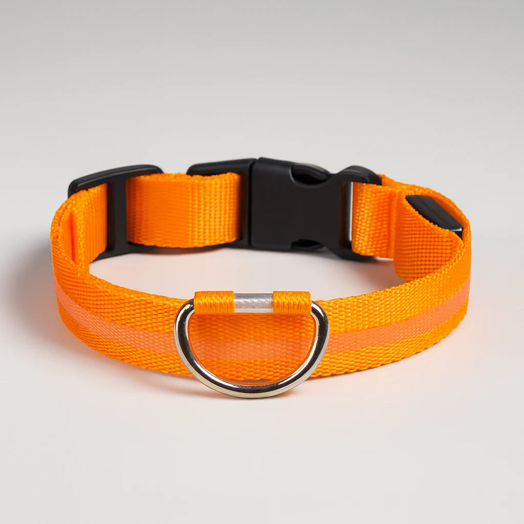 Lysende hundehalsbånd