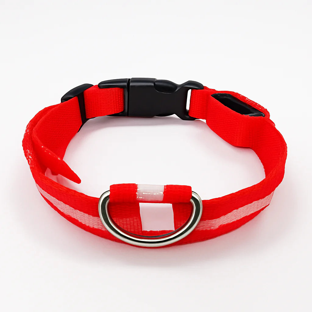 Lysende hundehalsbånd