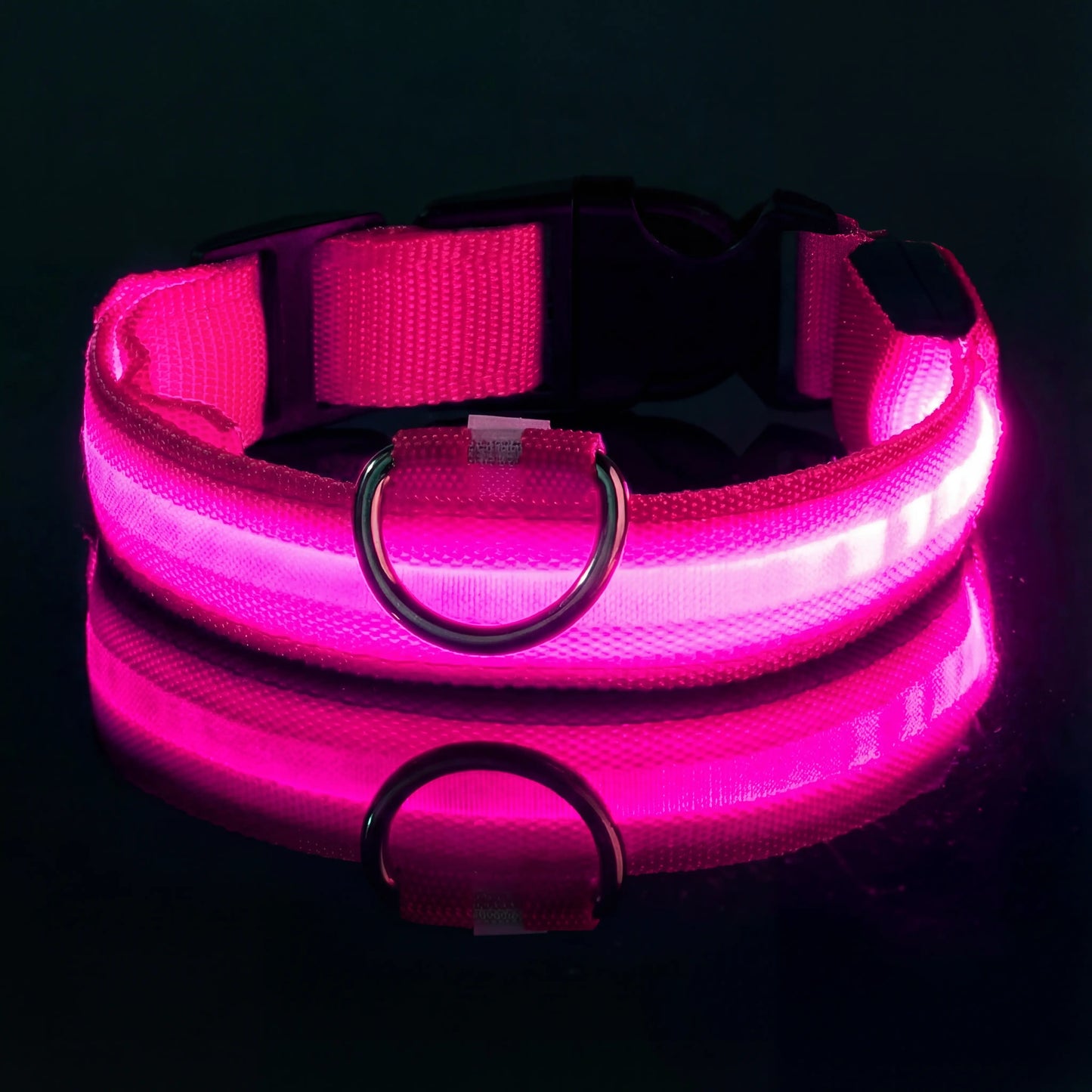 Lysende hundehalsbånd – trygghet på hver tur