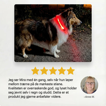 Lysende hundehalsbånd