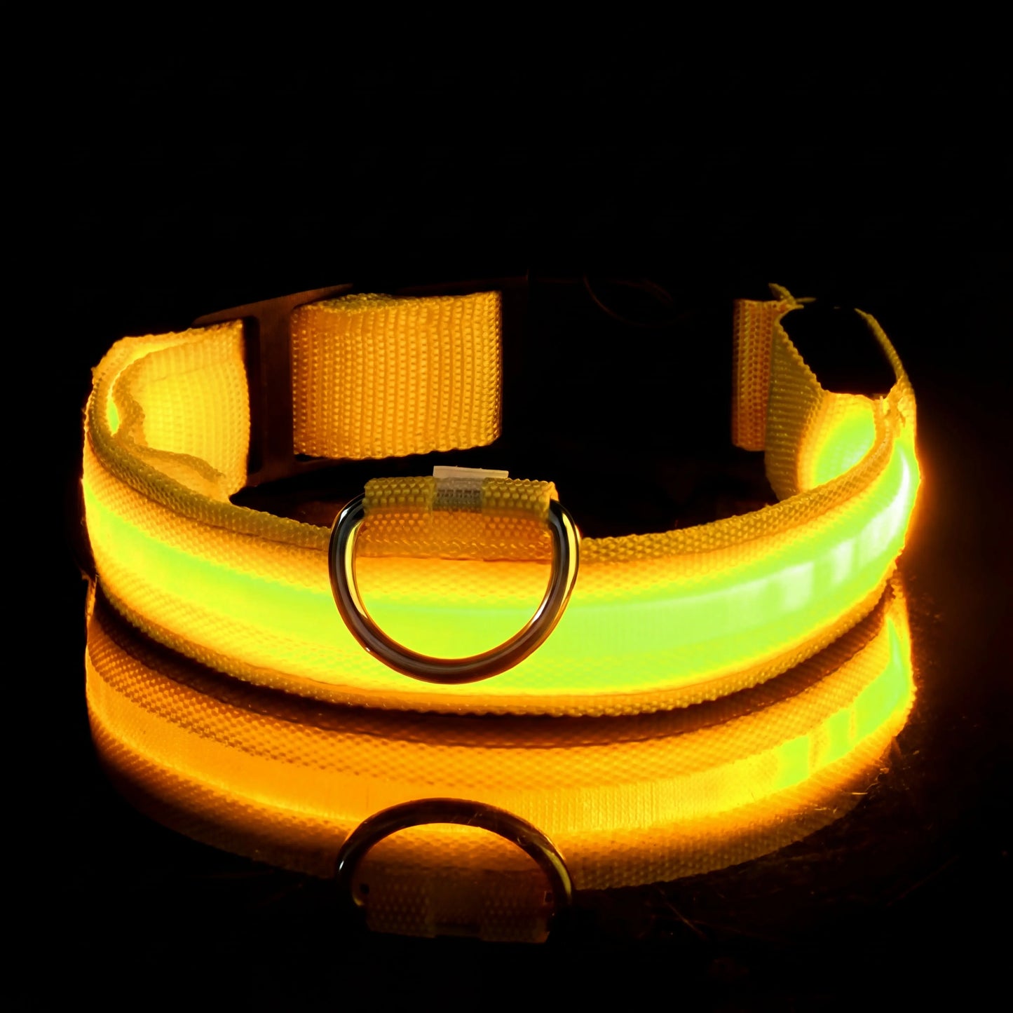 Lysende hundehalsbånd – trygghet på hver tur