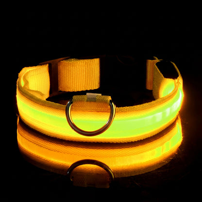 Lysende hundehalsbånd