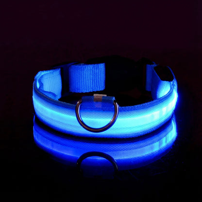 Lysende hundehalsbånd