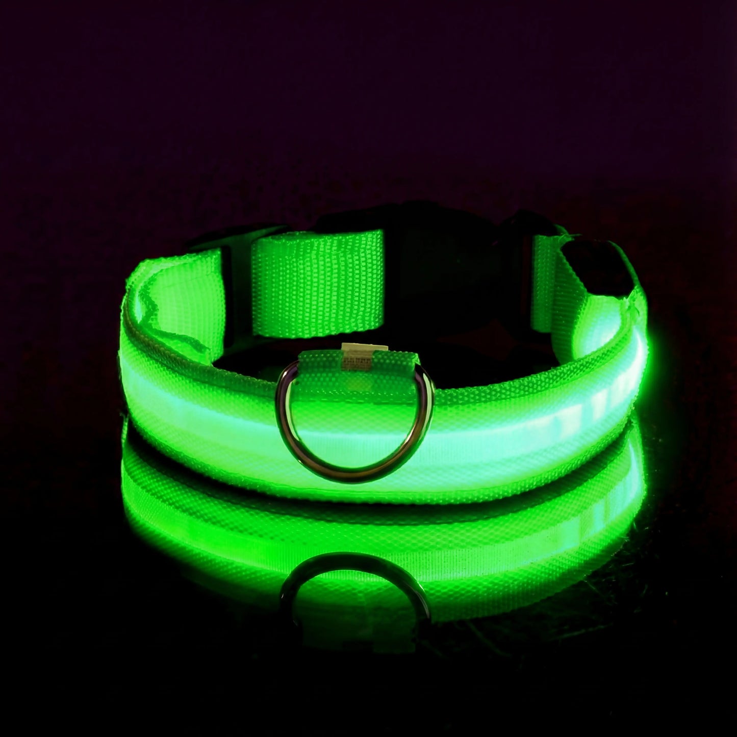 Lysende hundehalsbånd – trygghet på hver tur
