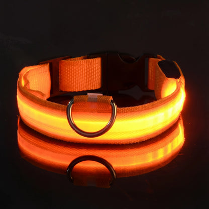 Lysende hundehalsbånd