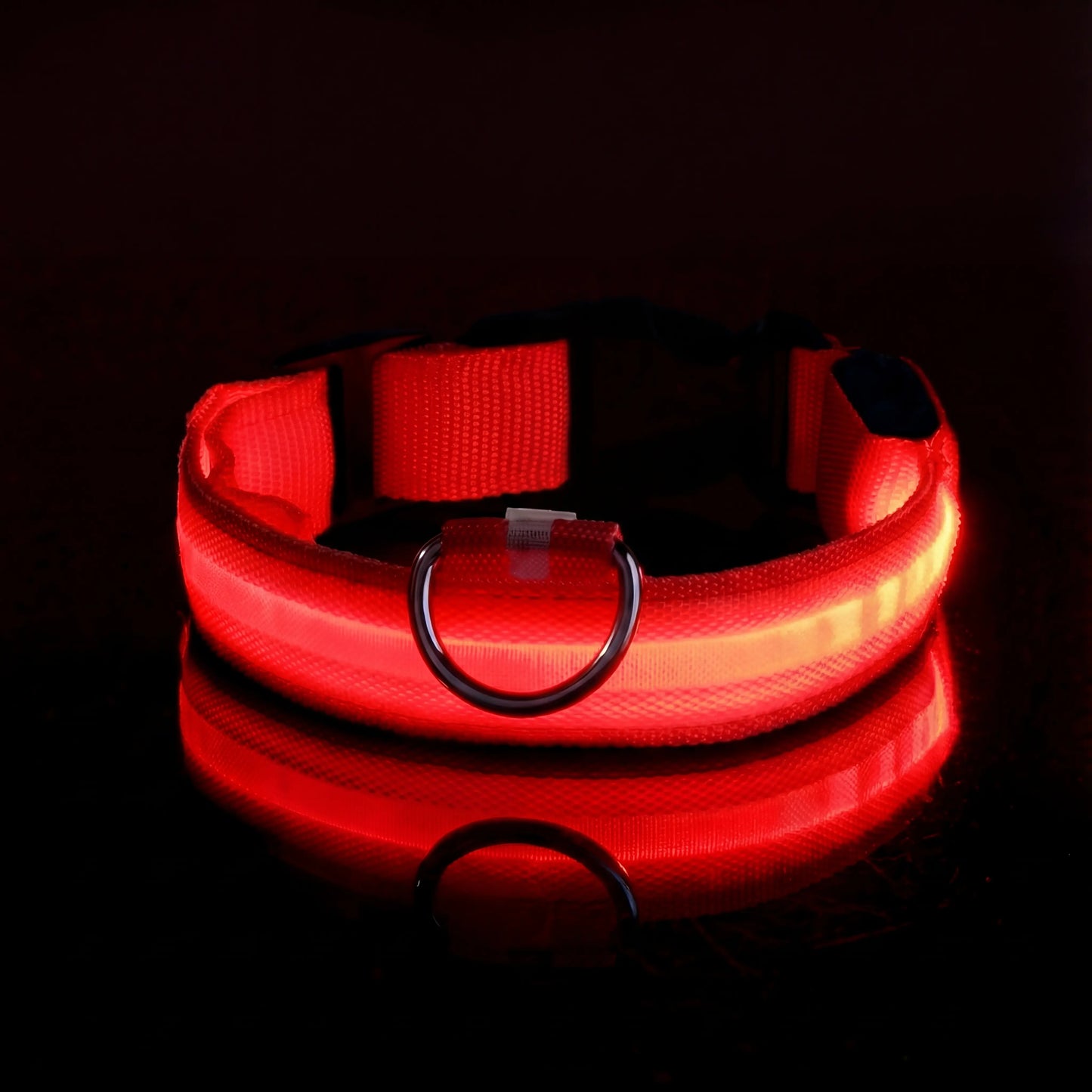 Lysende hundehalsbånd – trygghet på hver tur