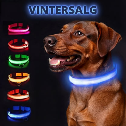 Lysende hundehalsbånd